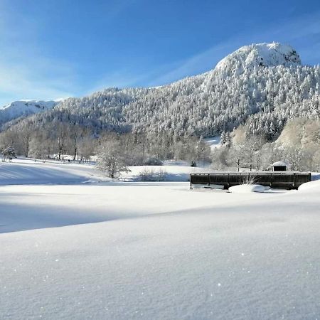 Chalet Des Cascades Le Mont-Dore Exterior foto