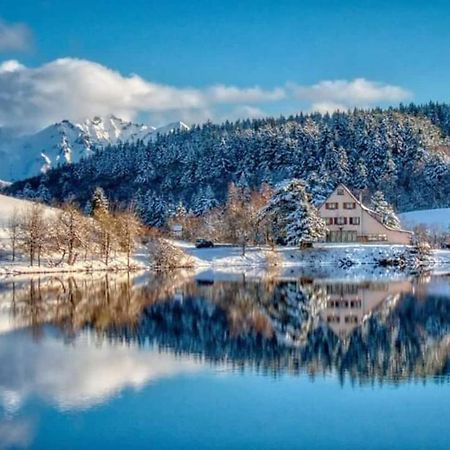 Chalet Des Cascades Le Mont-Dore Exterior foto