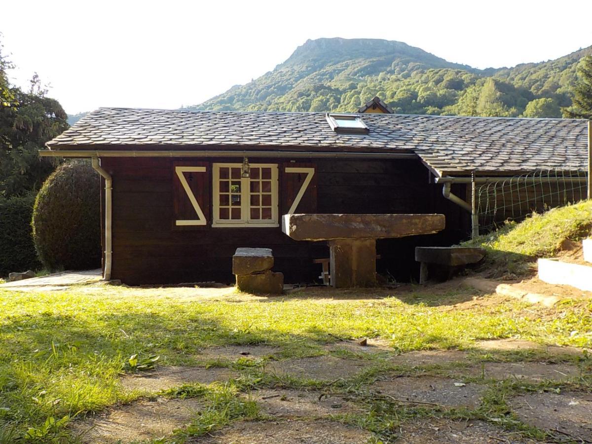 Chalet Des Cascades Villa Le Mont-Dore Exterior foto