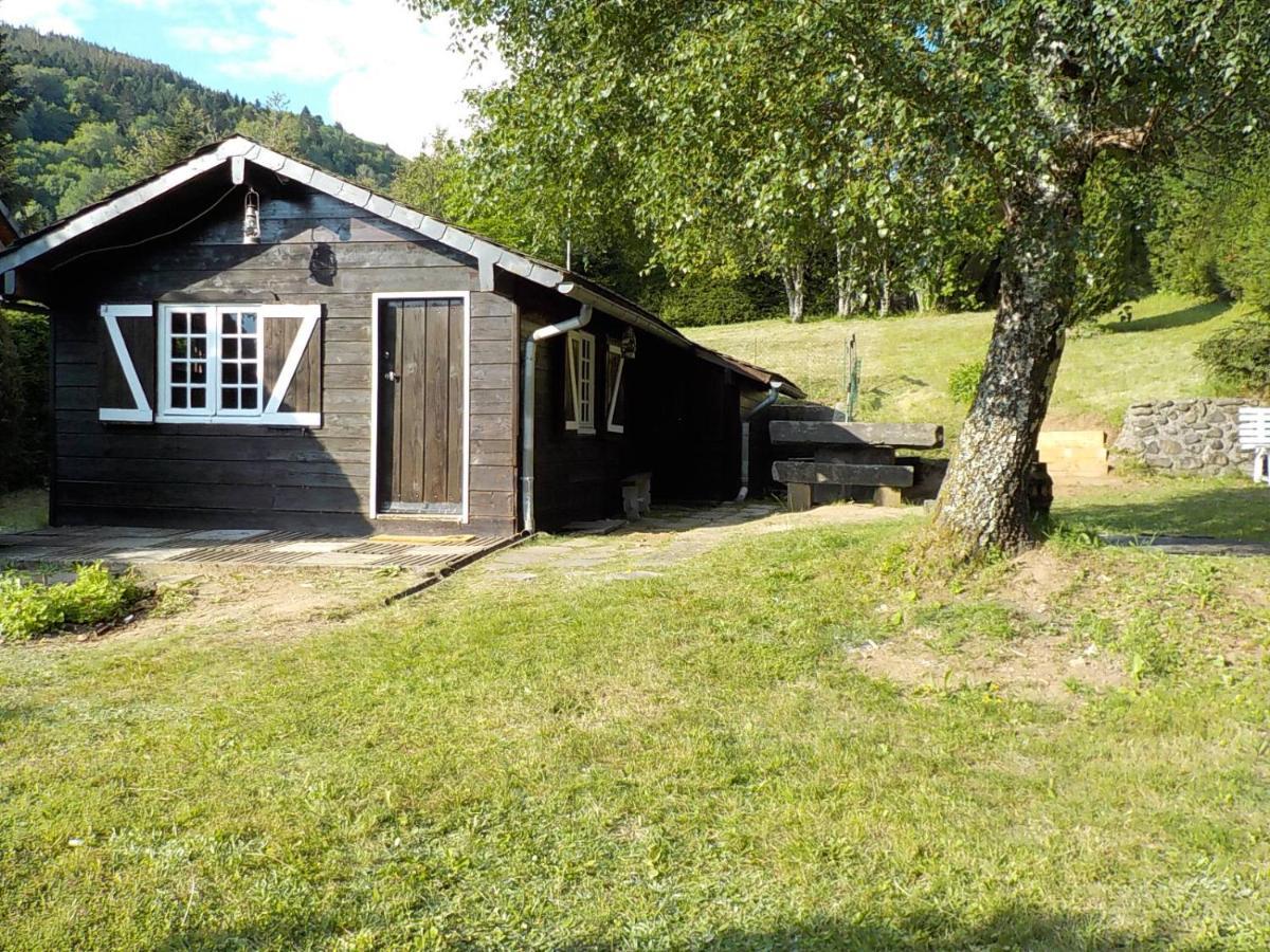 Chalet Des Cascades Le Mont-Dore Exterior foto
