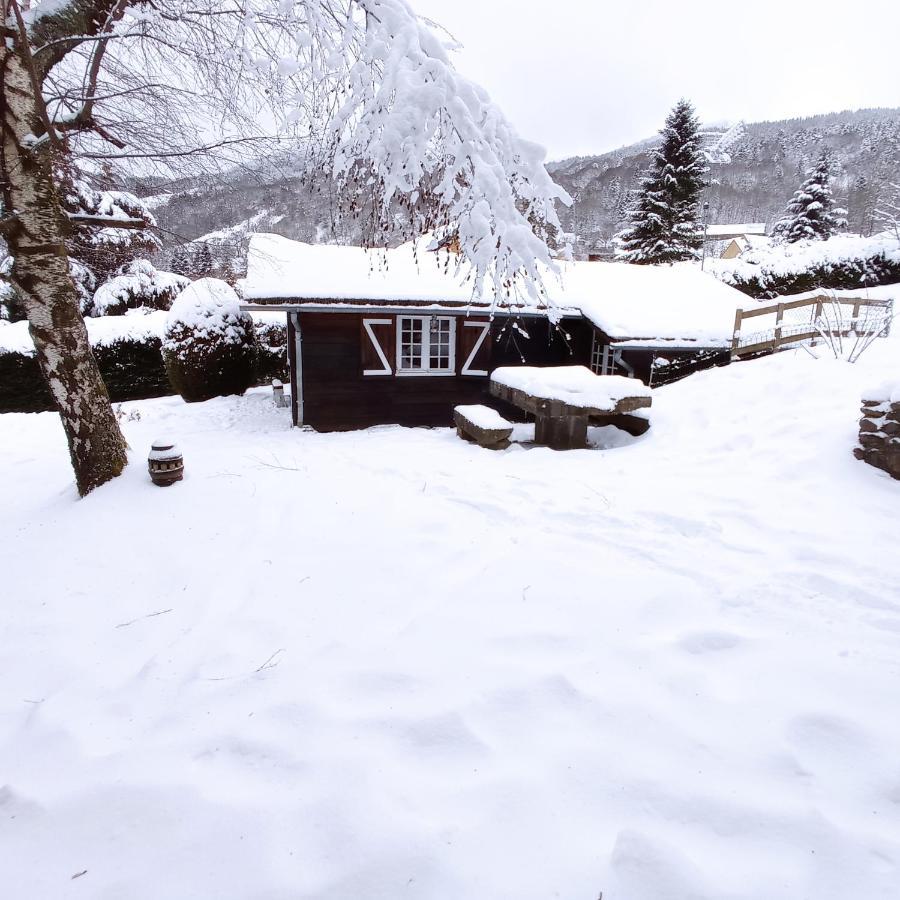 Chalet Des Cascades Villa Le Mont-Dore Exterior foto