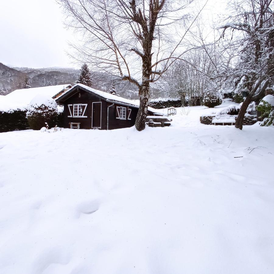 Chalet Des Cascades Le Mont-Dore Exterior foto