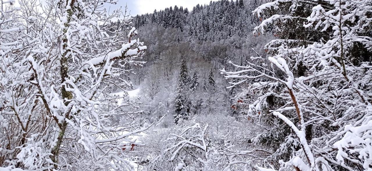 Chalet Des Cascades Le Mont-Dore Exterior foto