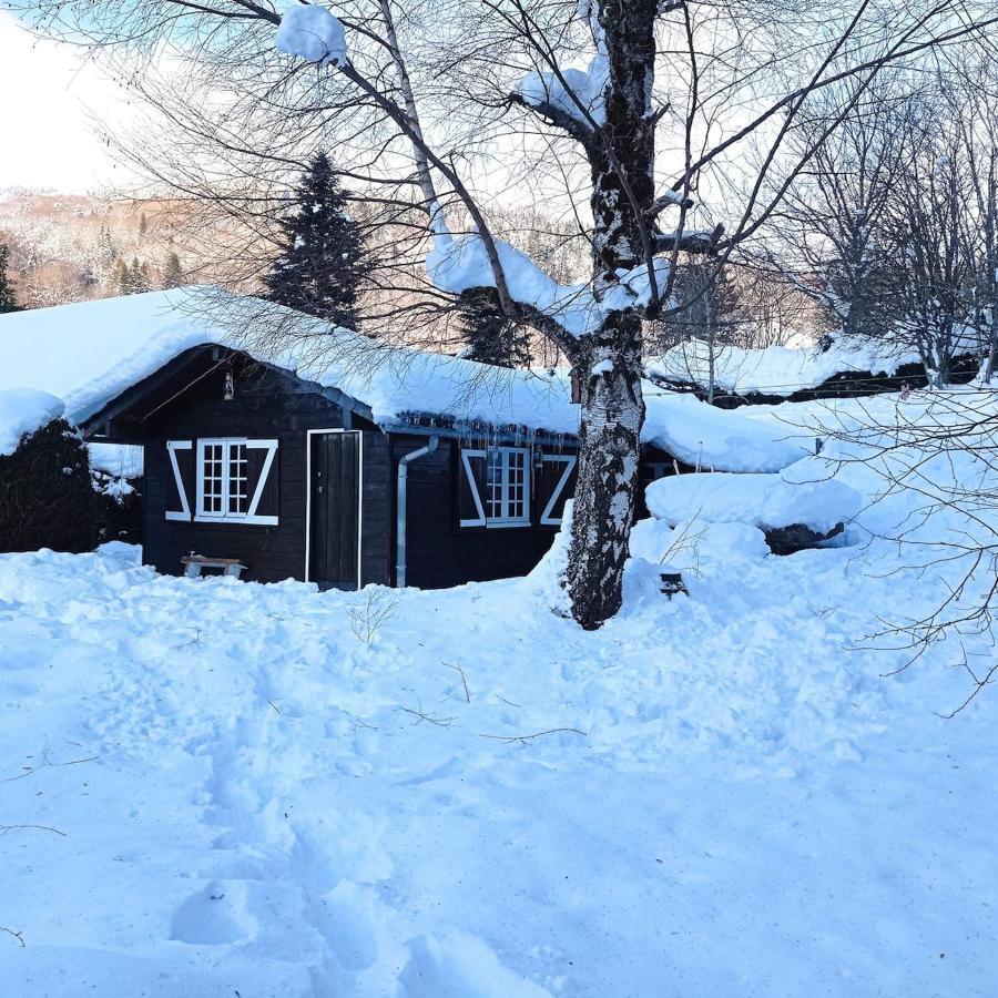 Chalet Des Cascades Le Mont-Dore Exterior foto